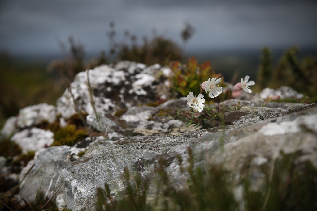 OUESSANT-2014-61.jpg