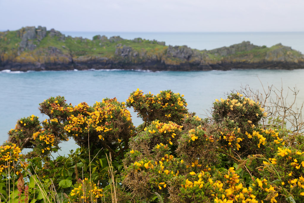 OUESSANT-2014-2.jpg