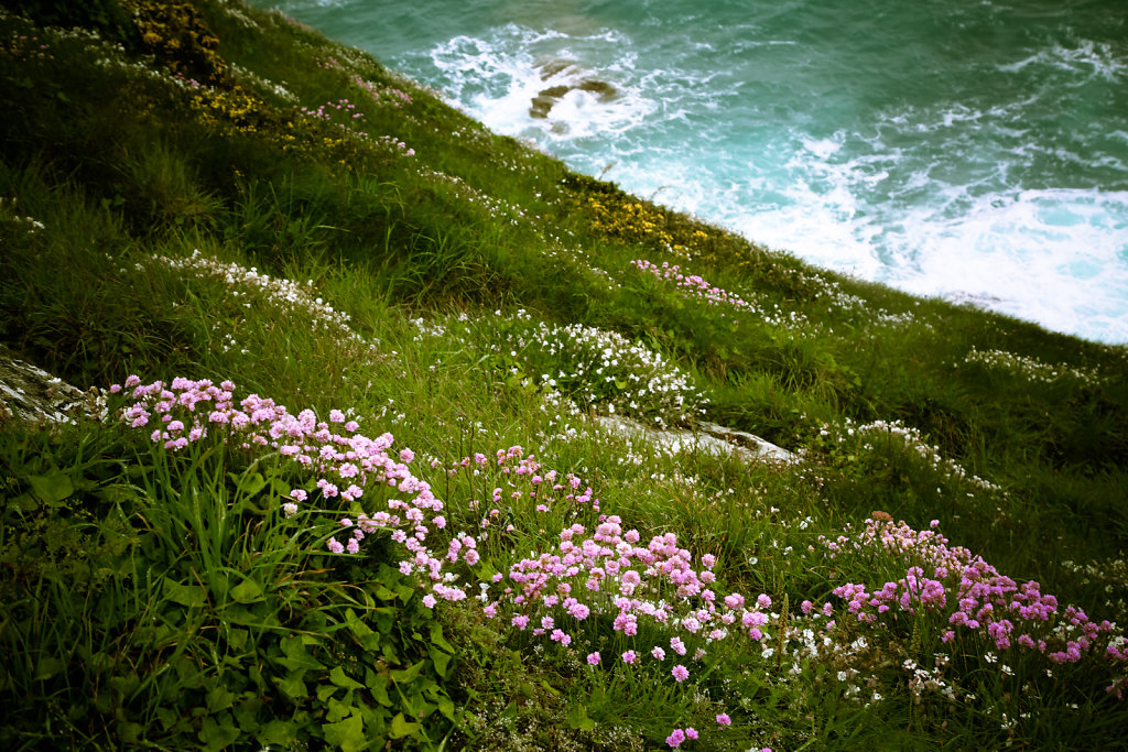 OUESSANT-2014-3.jpg