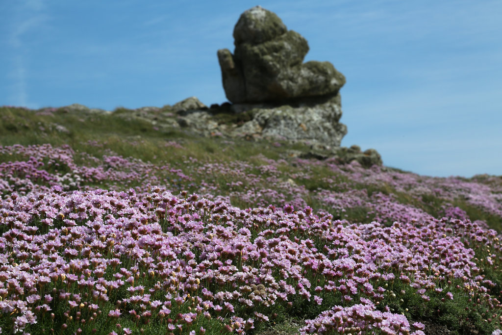 OUESSANT-2014-23.jpg