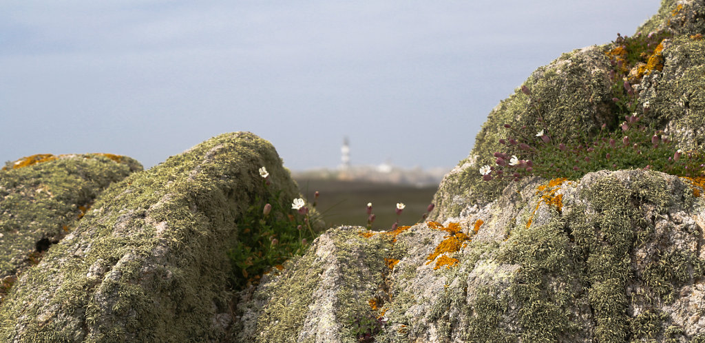 OUESSANT-2014-38.jpg