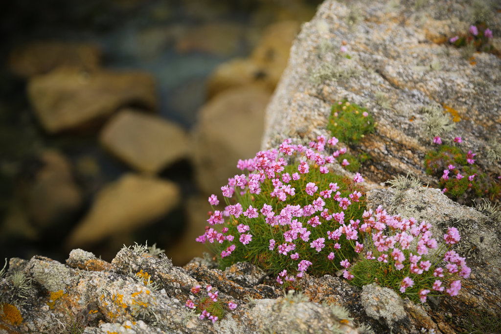OUESSANT-2014-39.jpg