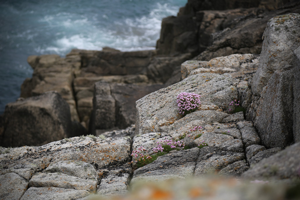 OUESSANT-2014-42.jpg